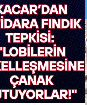 Kaçar’dan İktidara Fındık Tepkisi Lobilerin Tekelleşmesine Çanak Tutuyorlar!