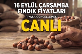 16 EYLÜL FINDIK FİYATLARI