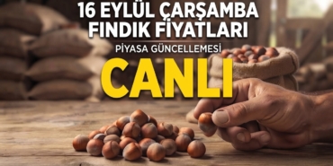 16 EYLÜL FINDIK FİYATLARI