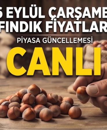 16 EYLÜL FINDIK FİYATLARI