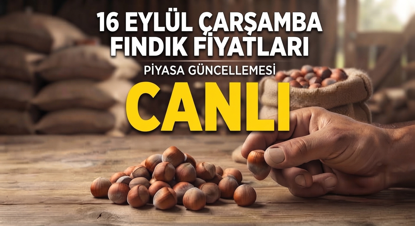16 EYLÜL FINDIK FİYATLARI