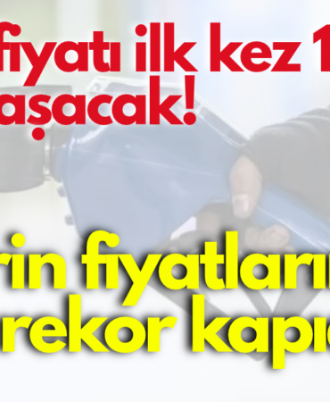 mazota zam