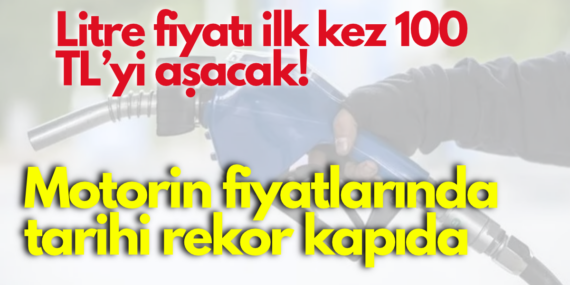 mazota zam