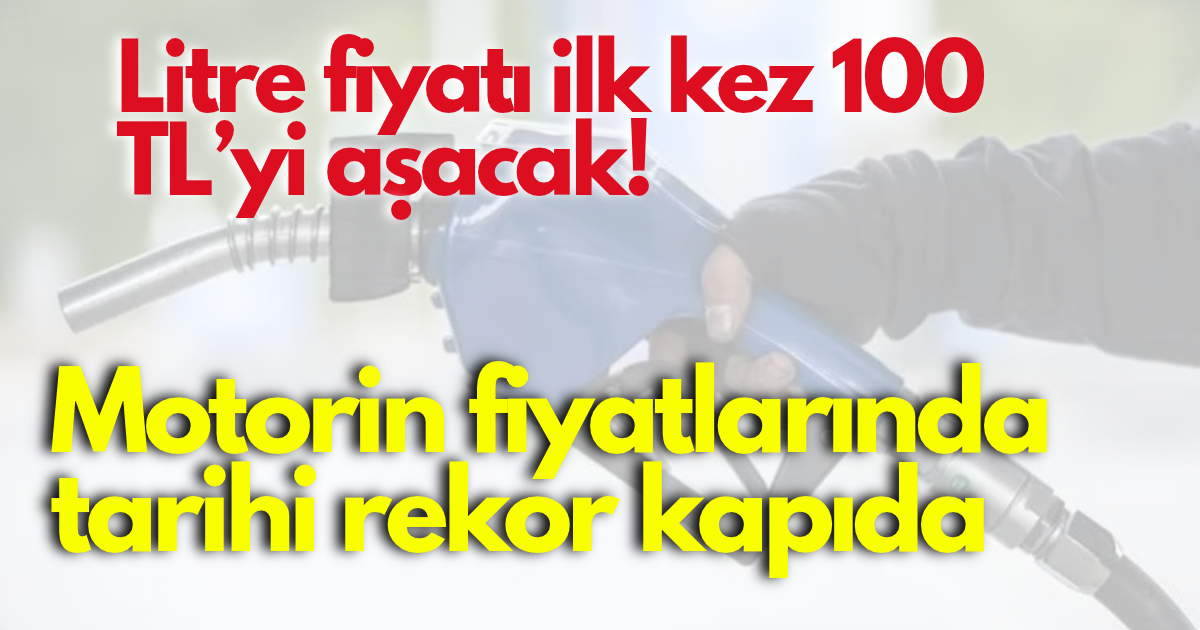 mazota zam