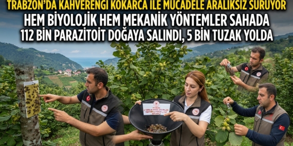 Trabzon’da Kahverengi Kokarca Tehlikesine Karşı Sahada Amansız Mücadele